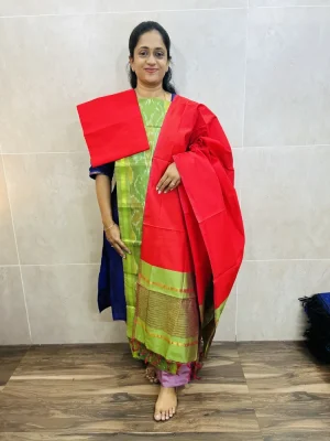 Premium Pochampally handloom silk cotton top paired with silk cotton dupatta and silk bottom (Free size)