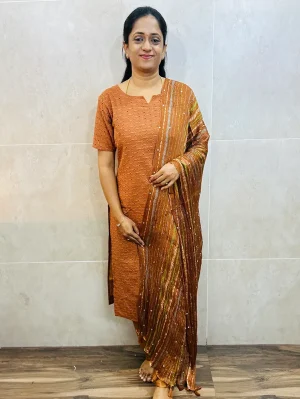 Acoba cotton top (cotton lining) paired with mirror worked Georgette dupatta and silk bottom (free size)