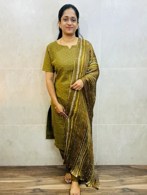 Acoba cotton top (cotton lining) paired with mirror worked Georgette dupatta and silk bottom (free size)